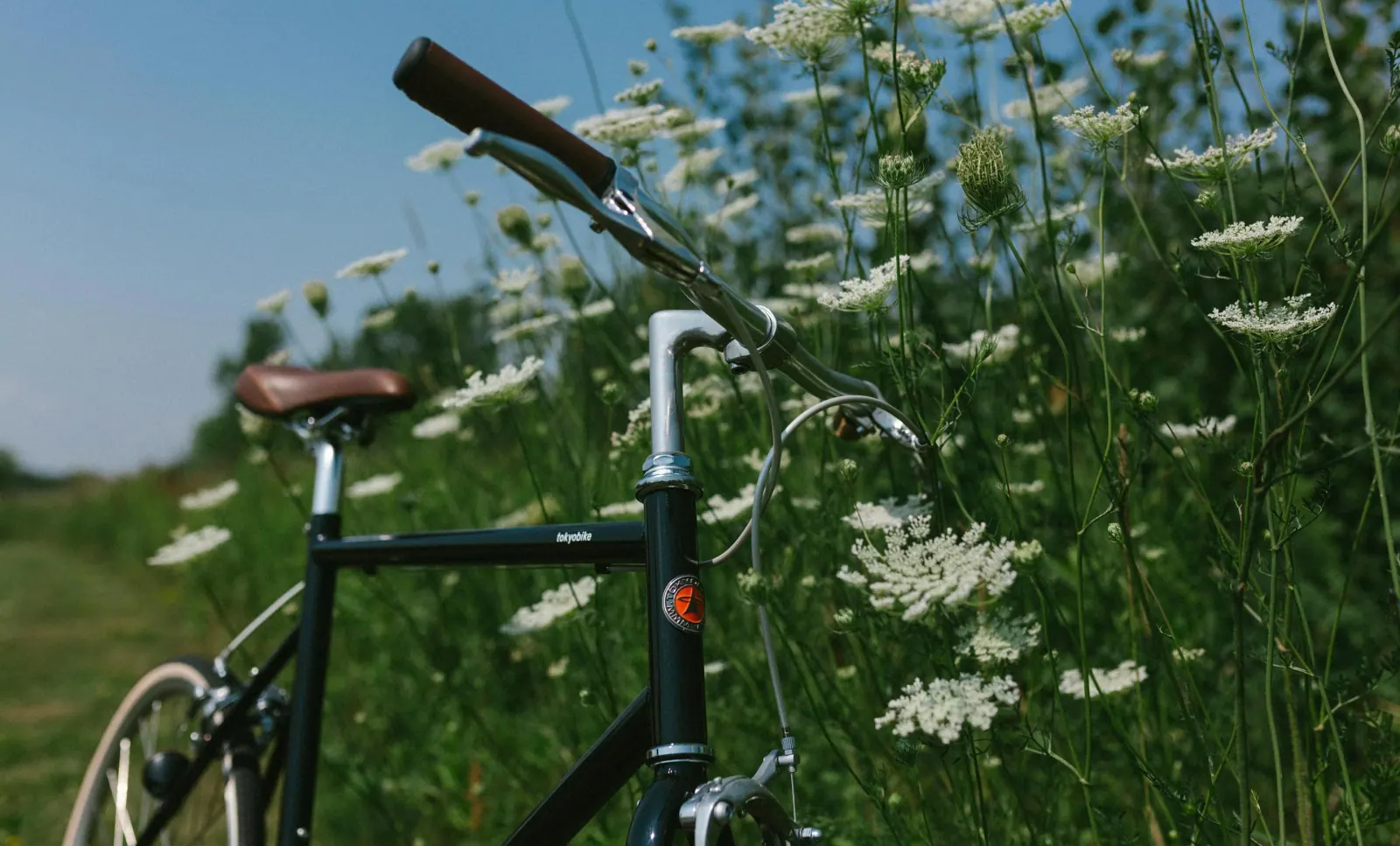 Bloom’s platform presents tokyobike US with immediate operational efficiencies, automation, and optimization of services customer story